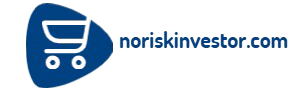 Le site noriskinvestorcom